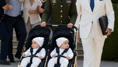 Part 2 : My Husband Served Me Divorce Papers After I Gave Birth to Our Twins—He Had No Idea I Was a U.S. Army Colone