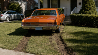 Full Story: My Neighbor Parked His Car on My Lawn — The Surprise Waiting for Him the Next Morning Was Priceless